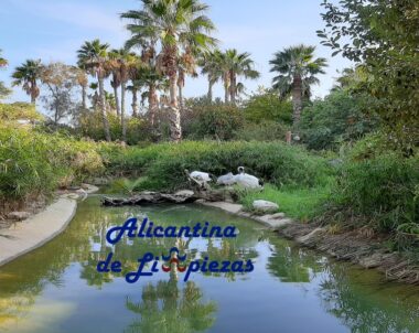 COMO TENER DIFERENTES MASCOTAS EN CASA