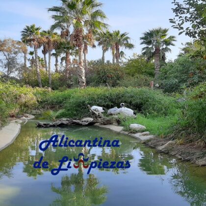 COMO TENER DIFERENTES MASCOTAS EN CASA