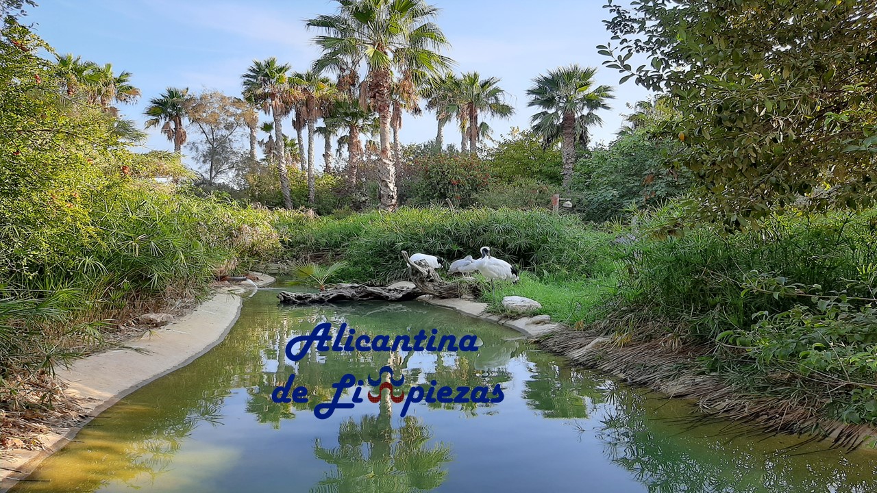 COMO TENER DIFERENTES MASCOTAS EN CASA