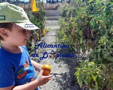Alicantina de Limpiezas