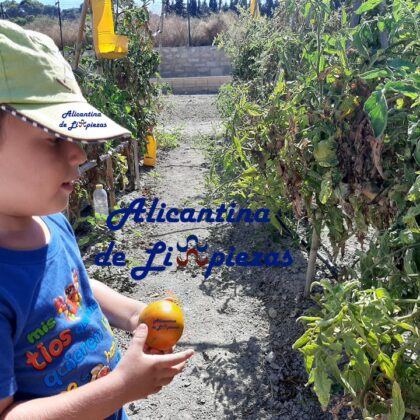 Alicantina de Limpiezas