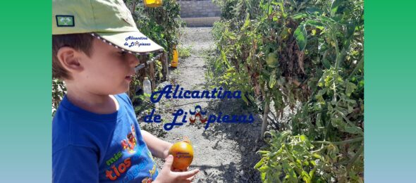 Alicantina de Limpiezas
