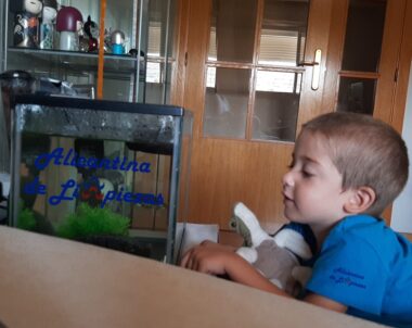 COMO LIMPIAR UN ACUARIO