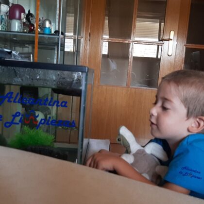 COMO LIMPIAR UN ACUARIO