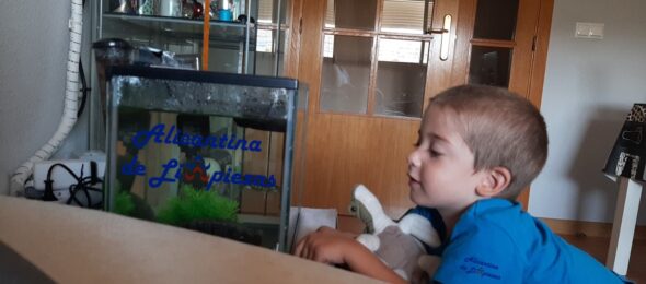 COMO LIMPIAR UN ACUARIO