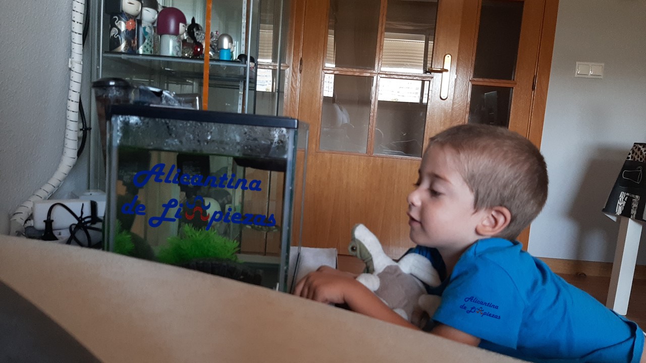 COMO LIMPIAR UN ACUARIO